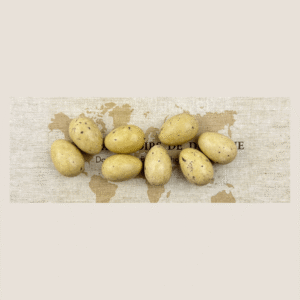 hd_ghent_meeuweneitjes_gez.karamel_8_stuks-2